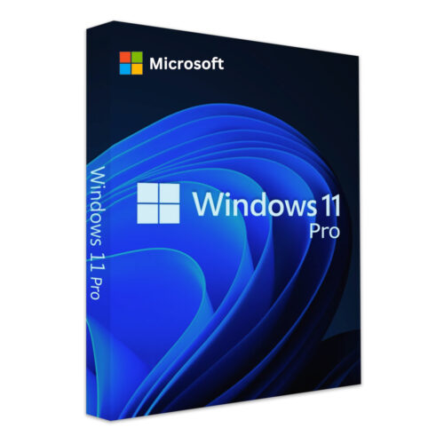 Microsoft Windows 11 pro